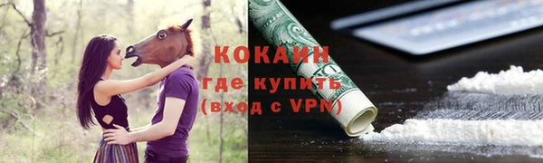 твердый Верея