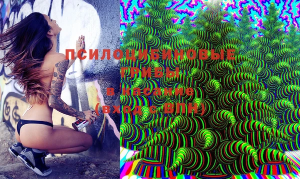 твердый Верея