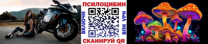Галлюциногенные грибы Cubensis  Петрозаводск 